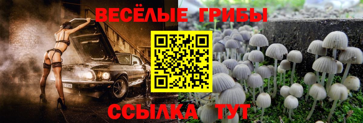 Чусовой  Псилоцибиновые грибы Psilocybine cubensis  Псилоцибиновые грибы MAGIC MUSHROOMS  Вход с VPN 