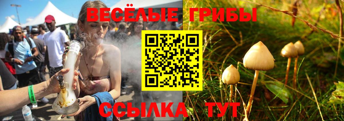 Галлюциногенные грибы мухоморы Чусовой